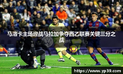 彩神VI首页官网