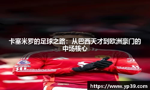 彩神VI首页官网